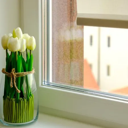 Mir I Lira * Kopaonik