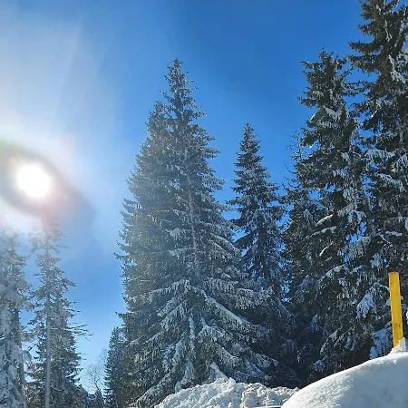 Apartmán Mir I Lira