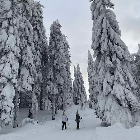 Mir I Lira Apartment