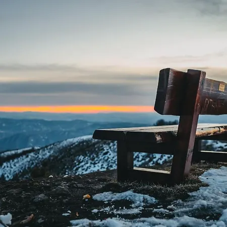 Apartment Mir I Lira *