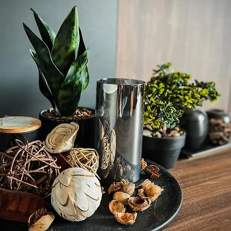 Mir I Lira Apartmán Kopaonik