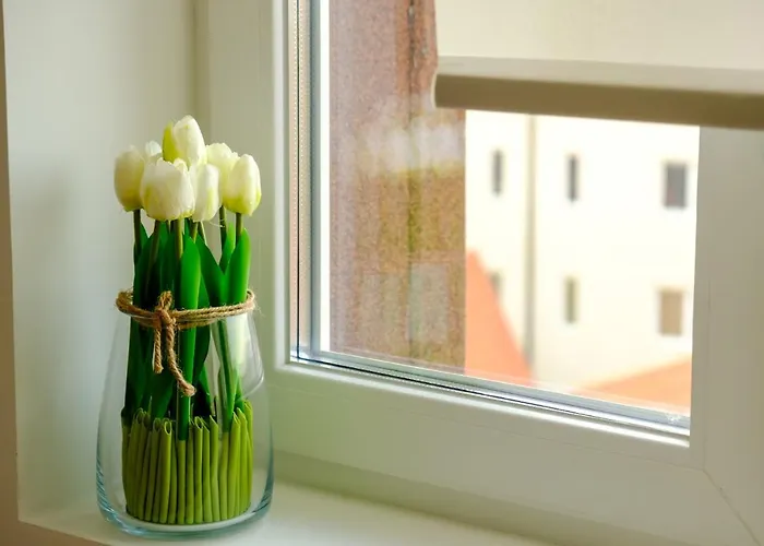 Mir I Lira * كوباونيك