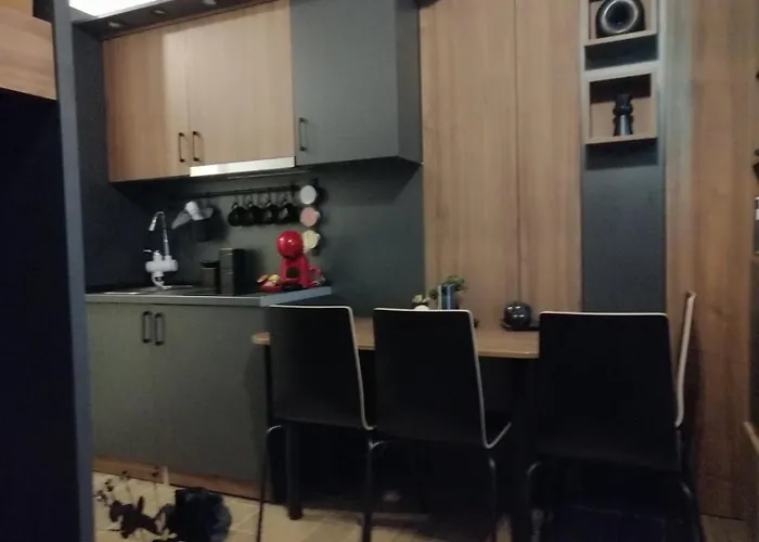 Mir I Lira شقة كوباونيك