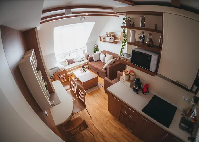 Mir I Lira شقة كوباونيك