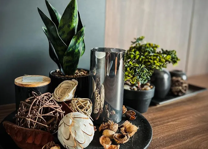 Mir I Lira شقة كوباونيك