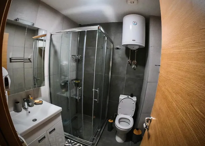 Mir I Lira شقة كوباونيك